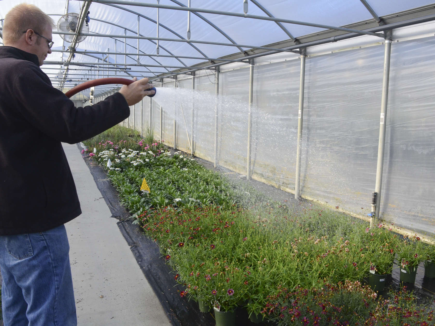 Overwintering Containerized Perennials