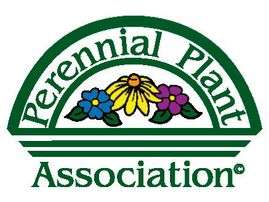 How is the Perennial Plant of the Year Chosen?